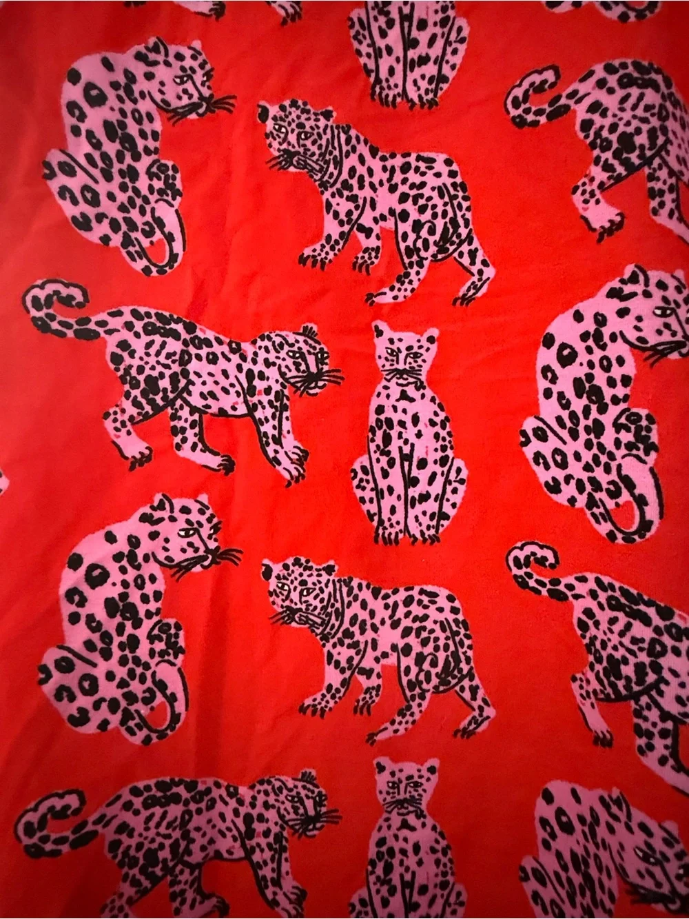 NOOWORKS Sondler Cat Tee Dress NWT - Picture 4 of 5